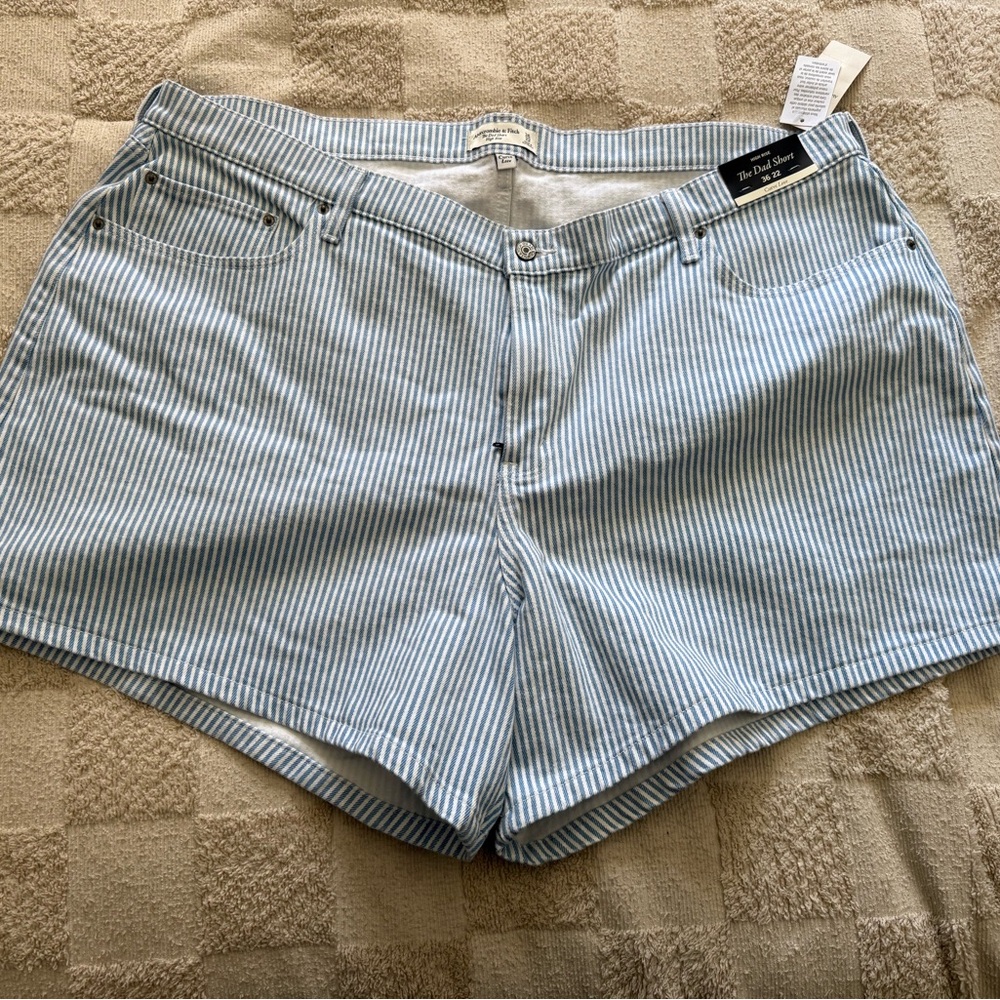 Abercrombie & Fitch Blue Striped Jean Shorts - Picture 1 of 4